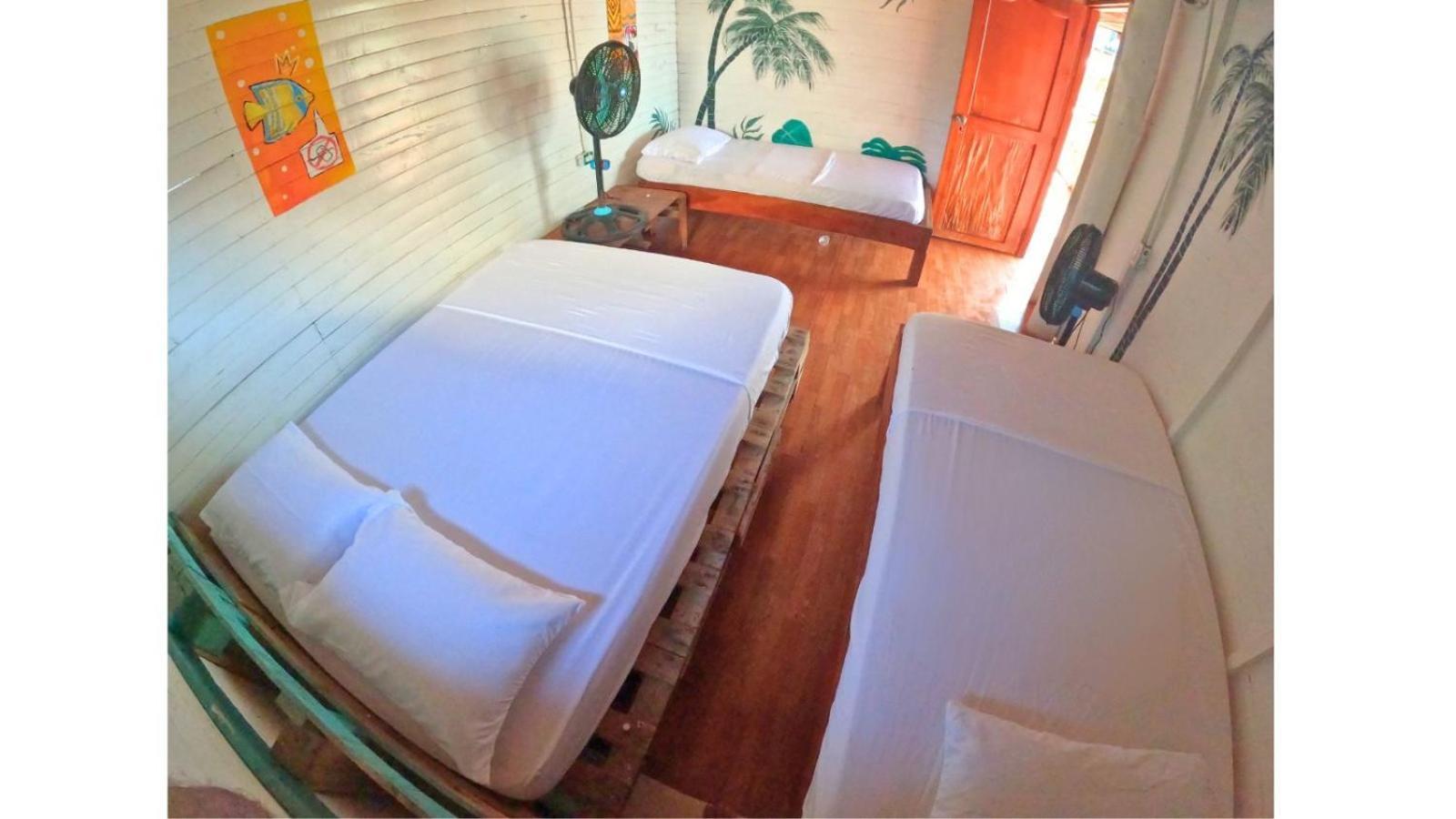 Posada Nativa Casa Azul Плая Бланка Екстериор снимка